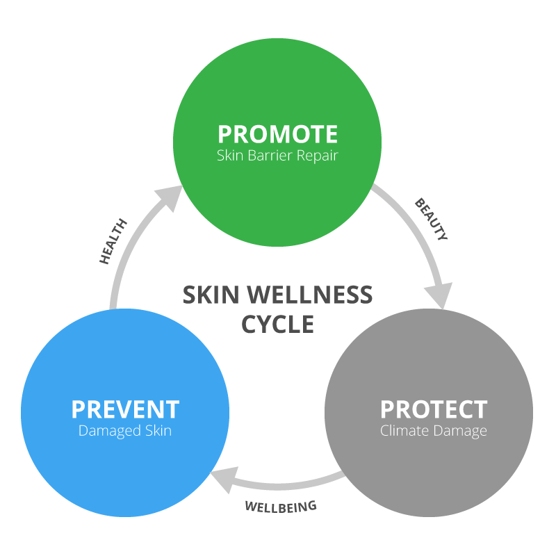 Dermacel Skin Wellness Cycle